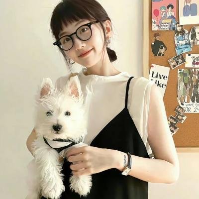 立案侦查海报