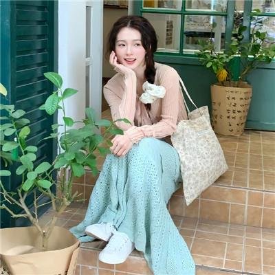 恐龙王海报